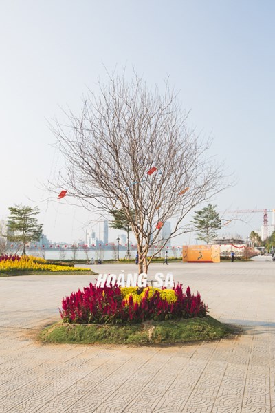 Đà[-]Nẵng:[-]Bản[-]đồ[-]Việt[-]Nam[-]bằng[-]hoa[-]lập[-]kỷ[-]lục
